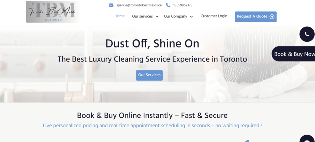 cleaning business service website
